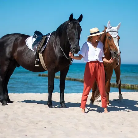 Casa De Buenas * סרבינובו