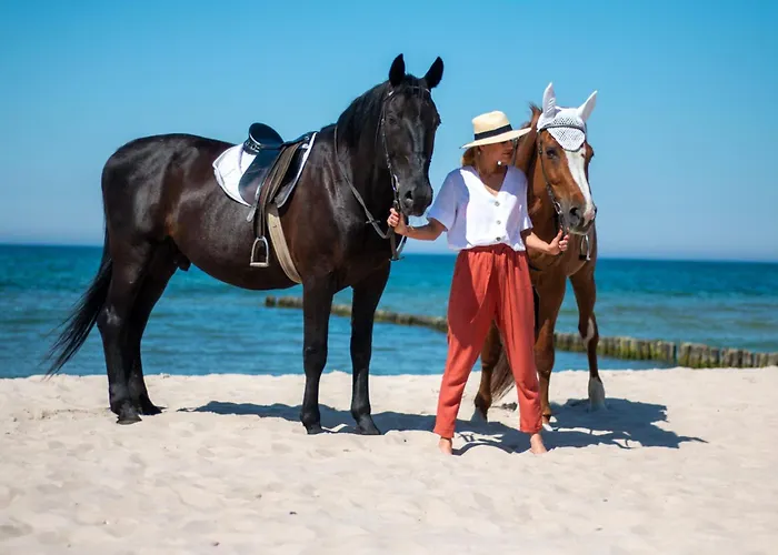 Casa De Buenas * Sarbinowo